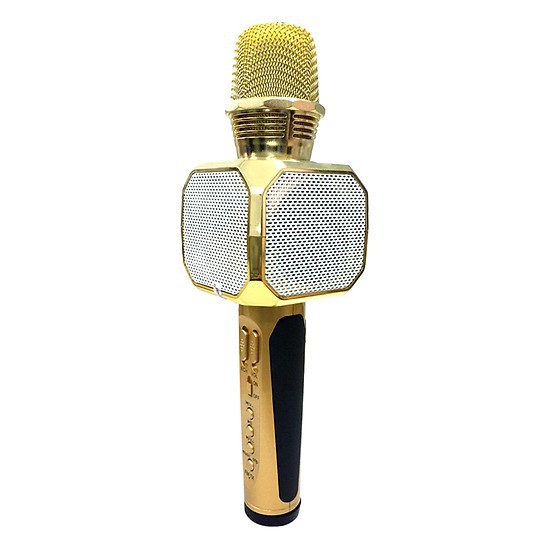 Micro Karaoke Kèm Loa Bluetooth SD10 Sotate - Hàng Nhập Khẩu