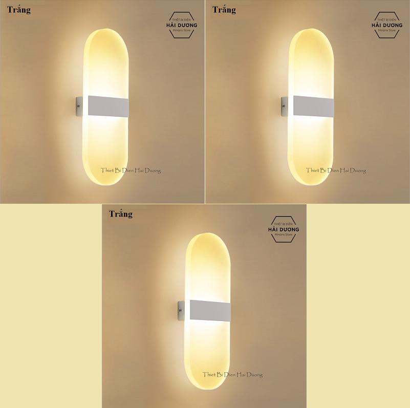 Combo 3 đèn led gắn tường decor hình oval tn142 - 3 chế độ ánh sáng trắng/vàng/trung tính - có video