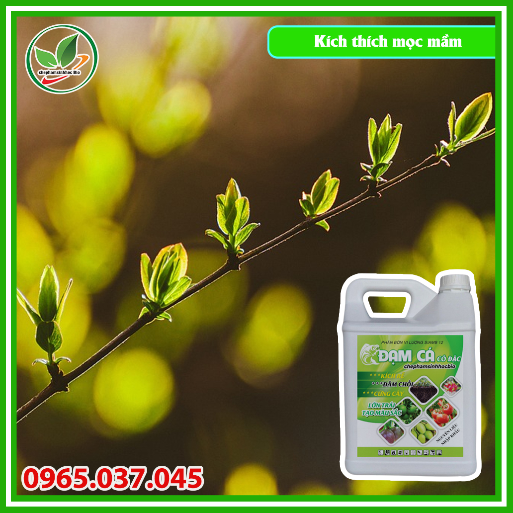 Phân đạm cá đậm đắc hữu cơ sinh học Bio. Can 5l