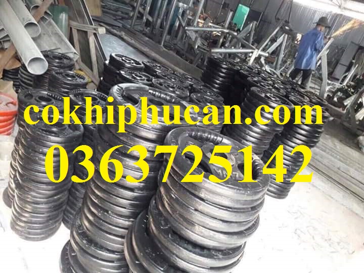 Tạ gang 3kg phi 27