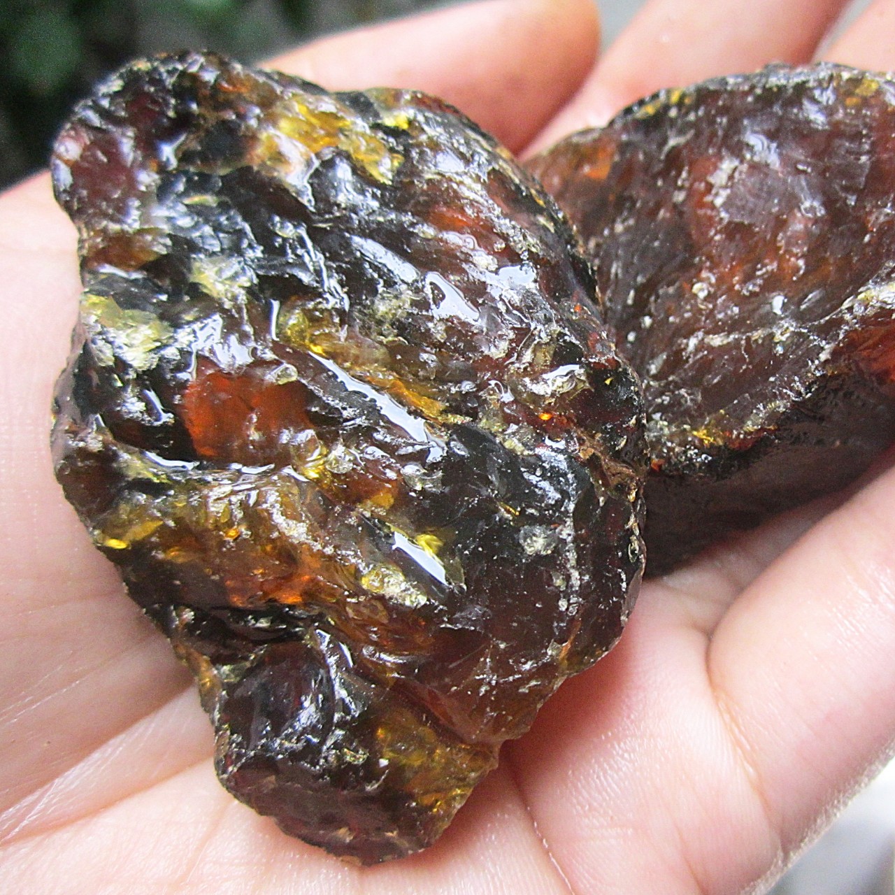 01 Viên Amber - Hổ Phách