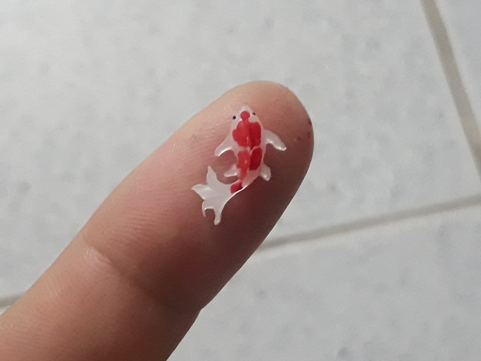 [HCM]Phôi cá koi trang trí móng keycap các sản phẩm thủ công.