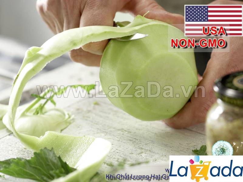 100GR 20K.HẠT Hạt Giống Su Hào Trắng USA (| B30*W31)
