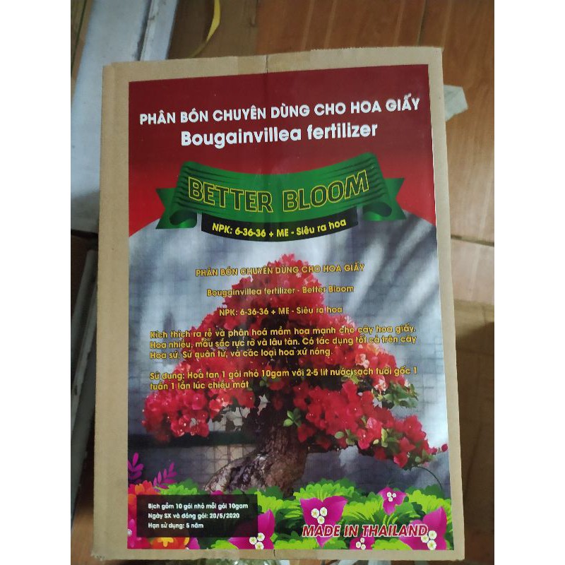Phân bón kích thích ra hoa cho hoa giấy