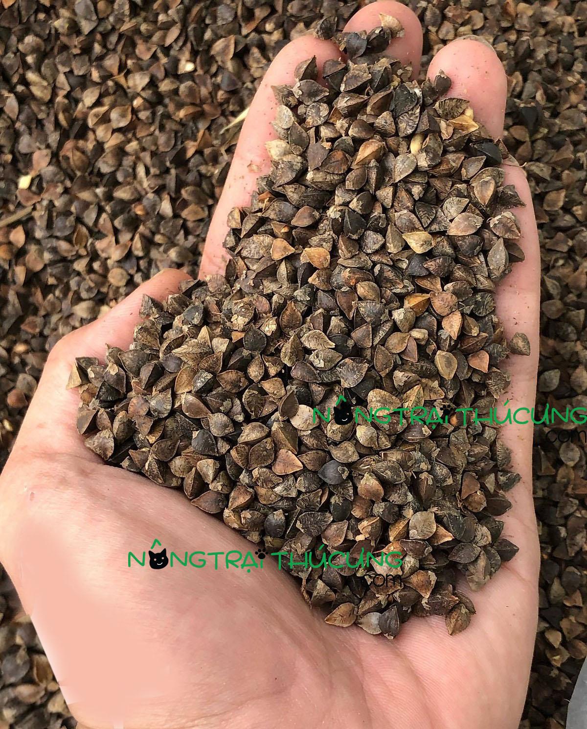 Thức Ăn Cho Hamster - Hạt Ba Khía Dinh Dưỡng (100gr) - [Nông Trại Thú Cưng]