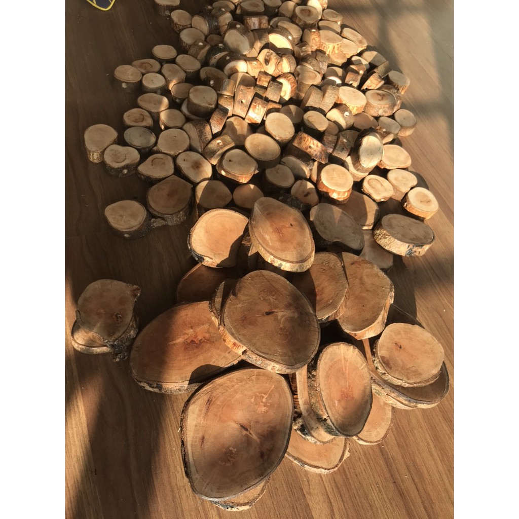 Miếng gỗ decor, gỗ tự nhiên 100%.