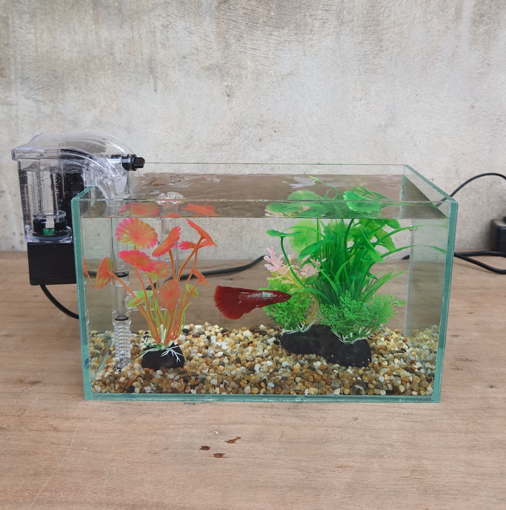 Bể cá mini 24 cm với 5 món (bể 24, sỏi nền, máy lọc, cây nhựa vừa, cây nhựa mini)