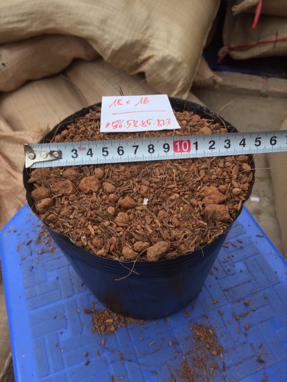 1kg Bịch bầu ươm cây cỡ 18x16