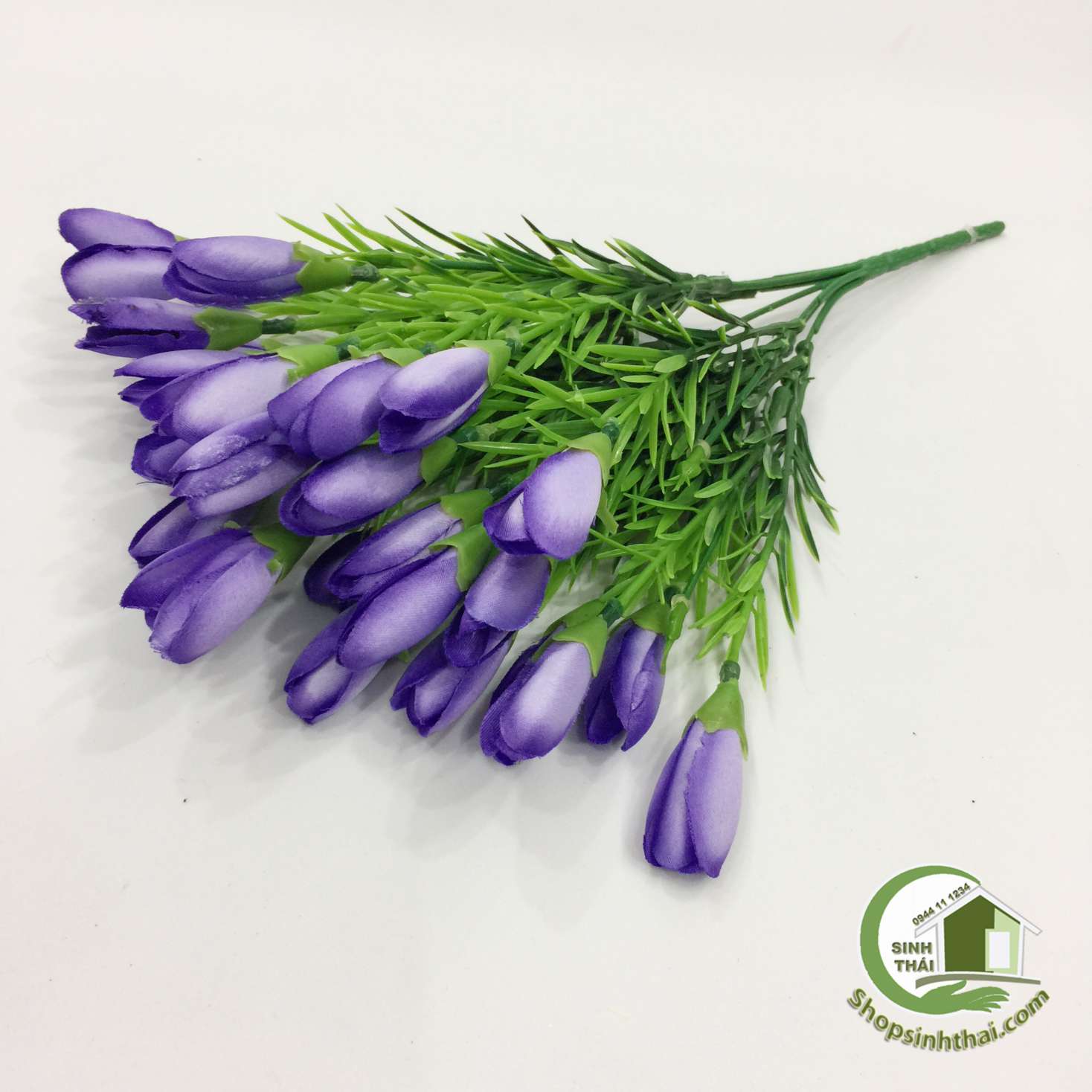 [HCM]Bụi Hoa Tulip Nhí Màu Tím