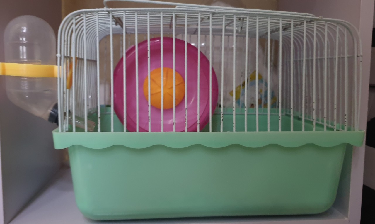 Bình nước chân không dành cho Hamster