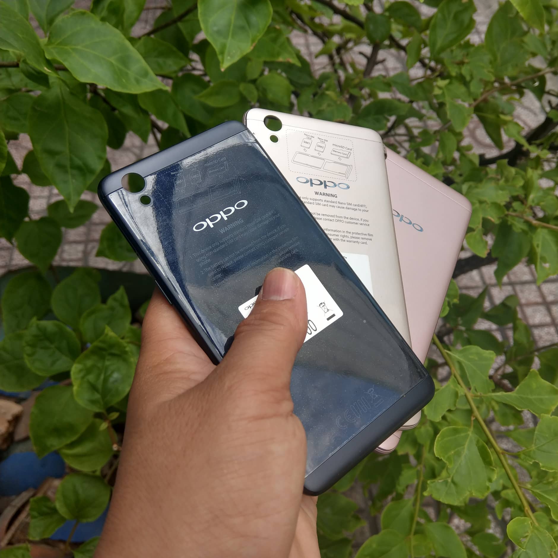Nắp Lưng Oppo Neo 9 A37 Tháo Máy