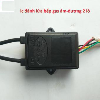 Bộ ic đánh lửa dành cho bếp gas đôi Rinnai