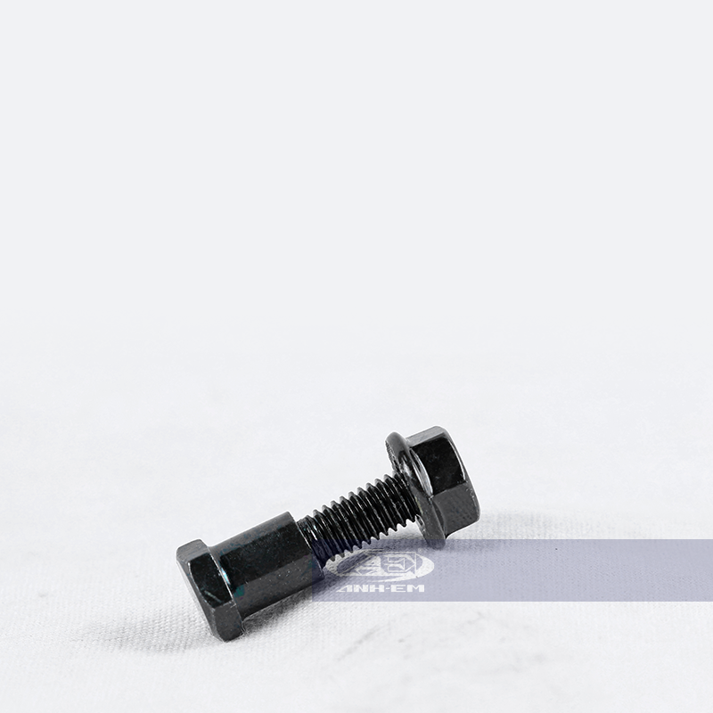 Ốc tay ampida (RGV) (Apido) - RGV120-0328