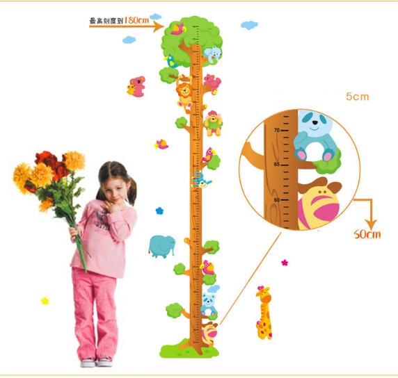 [HCM]Decal trang trí thước đo Cây Vàng