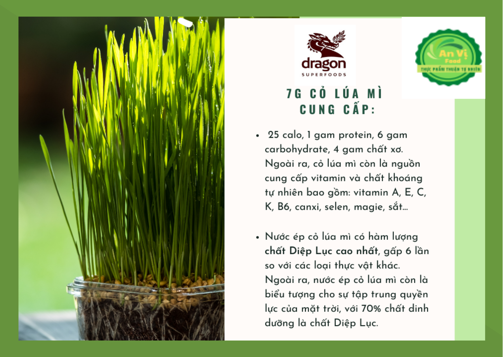 Bột cỏ lúa mì hữu cơ