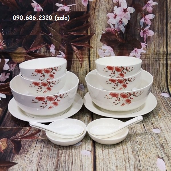 [HCM]bộ chén tô dĩa sứ - bộ chén tô dĩa sứ