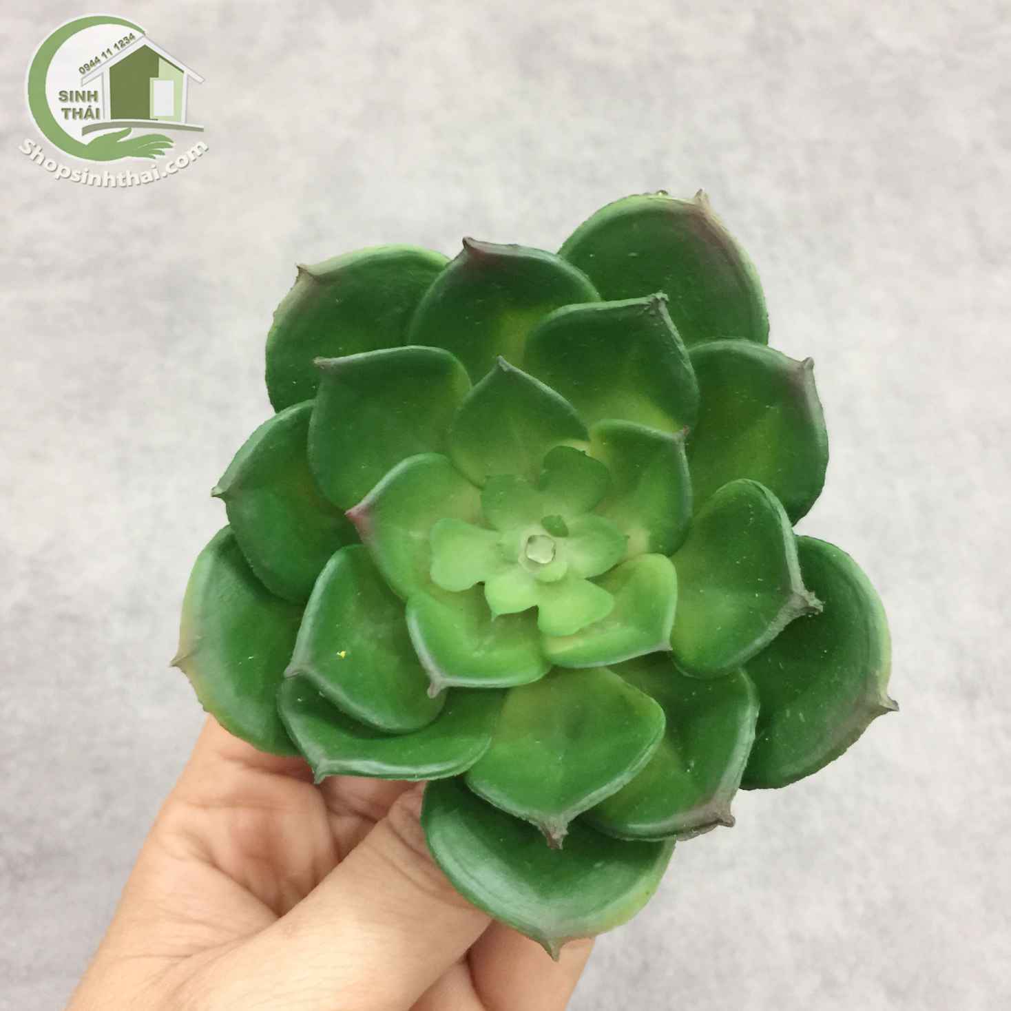 Hoa sen đá giả màu xanh - cây sen đá hoa hồng bằng nhựa dẻo