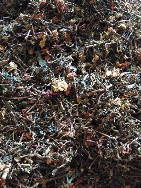 500g trà Sơn Mật Hồng Sâm Sa Pa loại ngon
