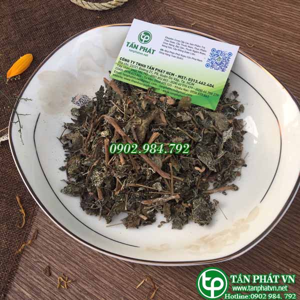 [Combo giá rẻ] 2kg chè dây sấy khô loại thượng hạng - Thảo Dược Tấn Phát