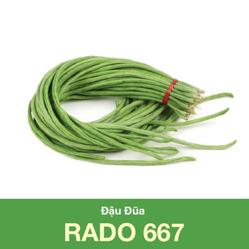 Hạt Giống Đậu Đũa Cao Sản Rạng Đông 20Gram