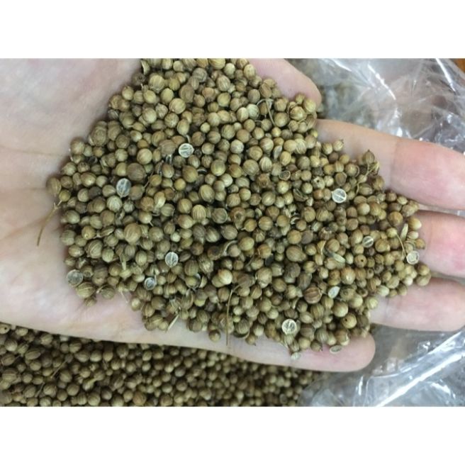 Sỉ toàn quốc 500g hạt mùi hạt ngò