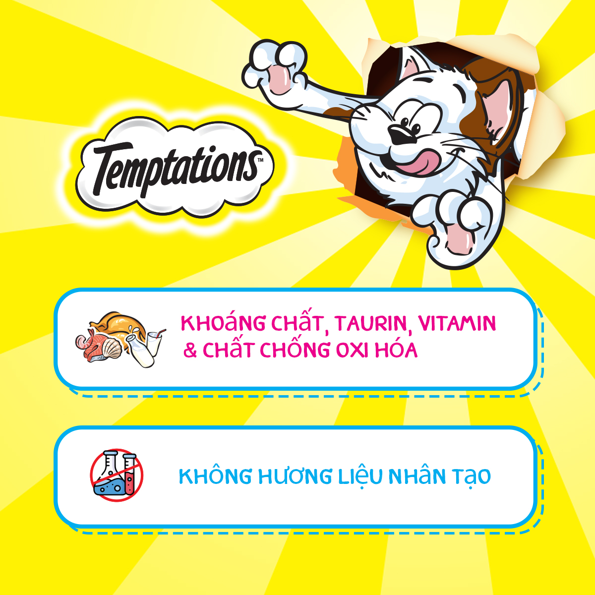 Bánh thưởng cho mèo Temptations vị cá ngừ
