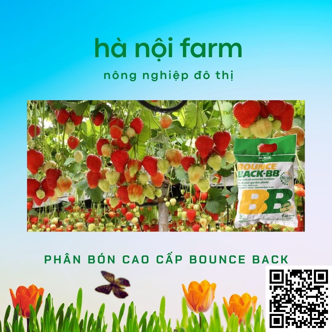Phân hữu cơ BB, Phân gà úc ( Bounce back ) Australia. Gói 1kg