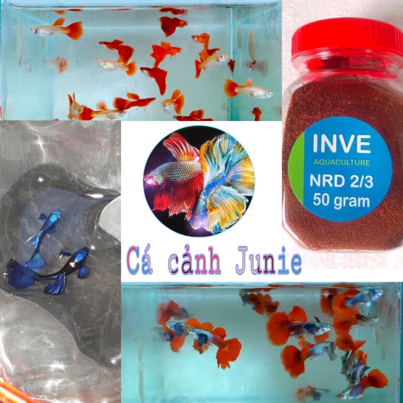 Combo 3 bộ trang trí tự chọn (inbox báo sản phẩm đã chọn) + Tặng thùng xốp chống thấm 30x20x10