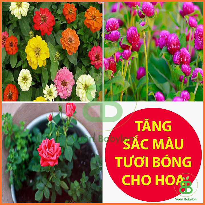 Phân Bón KaLi Nguyên Chất 500G