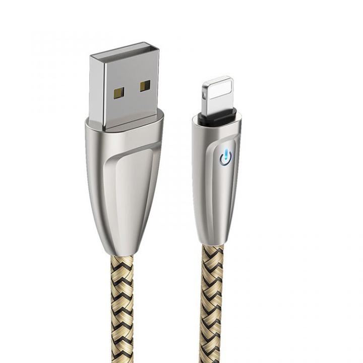 BOROFONE - Dây Cáp Sạc BU2 Cổng Micro 12m