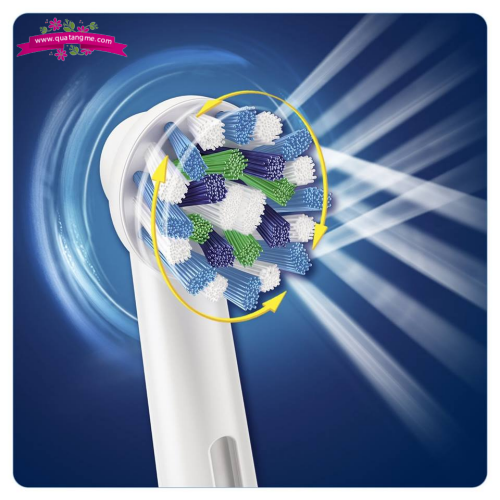 Bàn điện Oral B pro 100 made in Germany