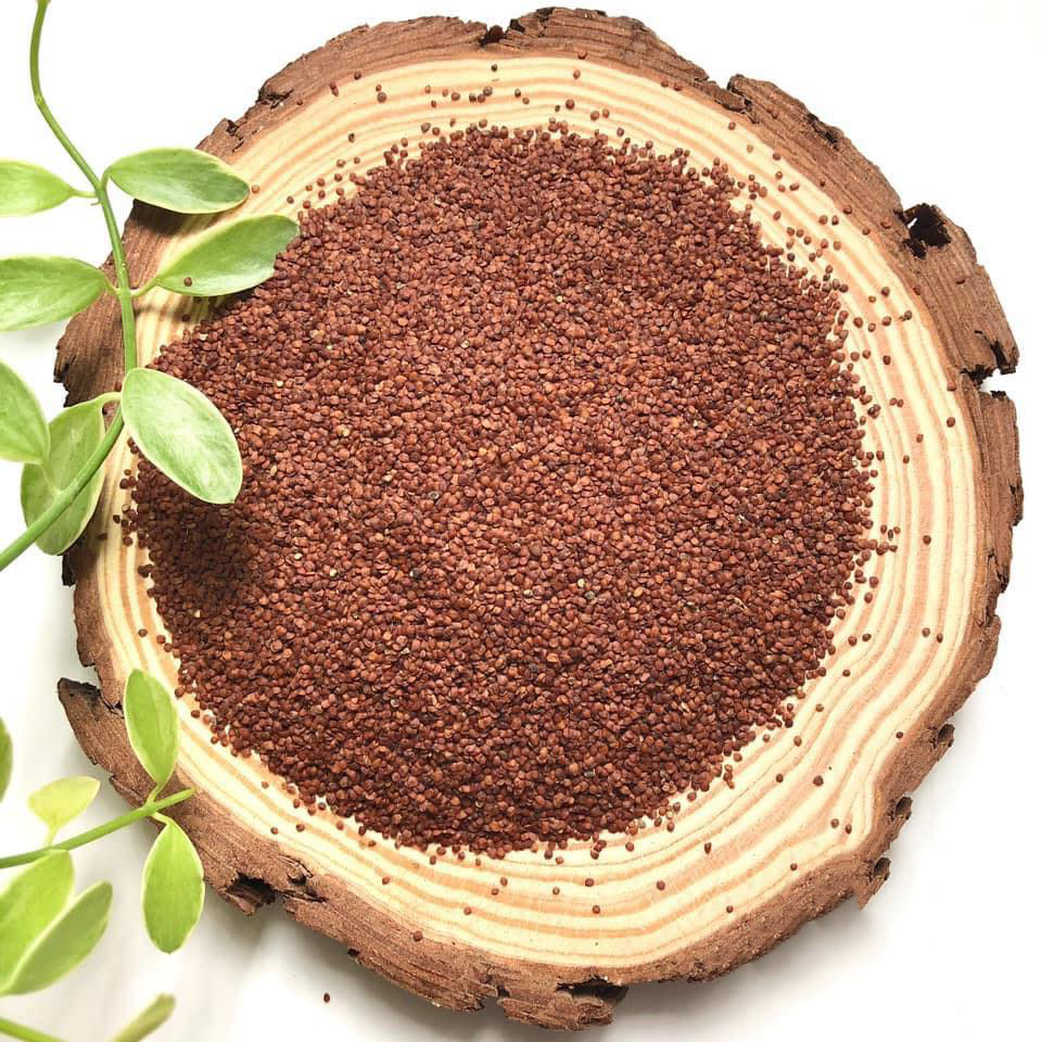 Hạt đình lịch 1kg
