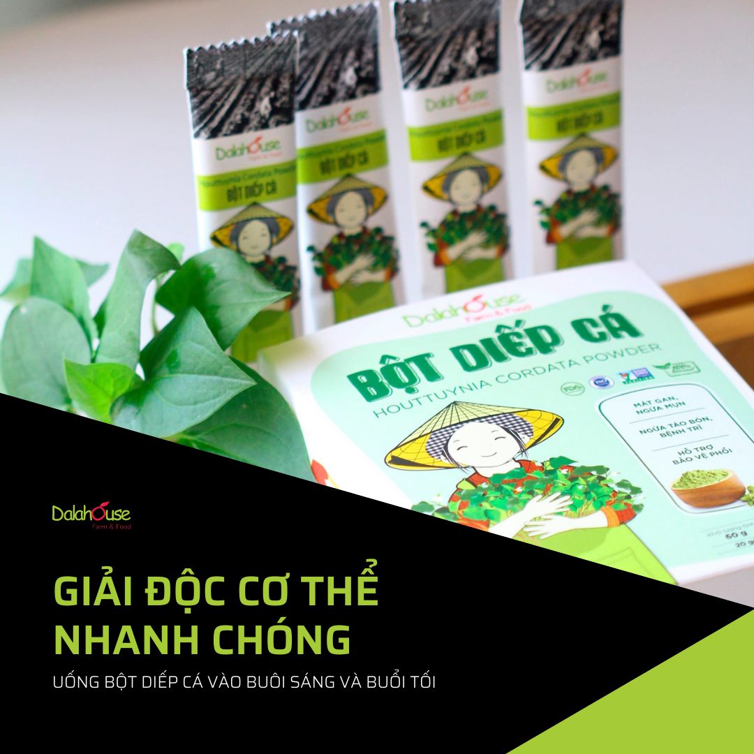 Bột Diếp Cá Hữu Cơ DalaHouse ( 100% Natural Houttuynia Cordata Powder)- Hộp 60 gram
