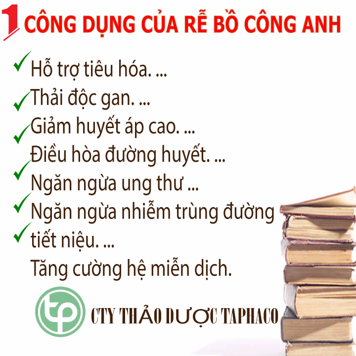 Trà rễ bồ công anh 500g - Thảo Dược Tấn Phát - H.ỗ t.rợ thanh nh.iệt và giải đ.ộc