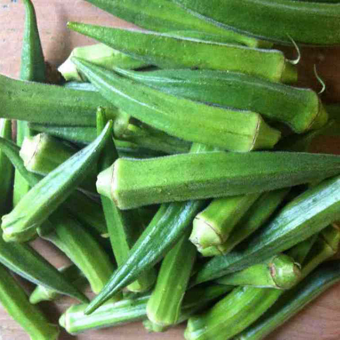 10GR_HẠT GIỐNG ĐẬU BẮP XANH (DỄ TRỒNG)
