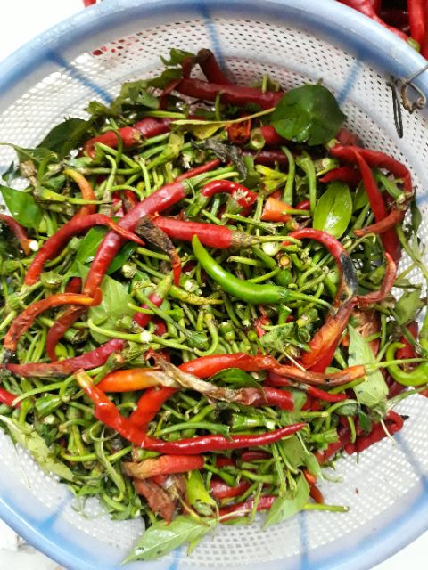 Ớt bột Huế nhà làm siêu chất lượng 500gr