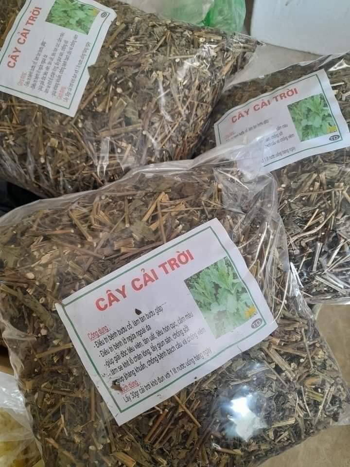 (Dược liệu khô) Cây Cải trời (còn có tên Kim đầu te) phơi khô 500g