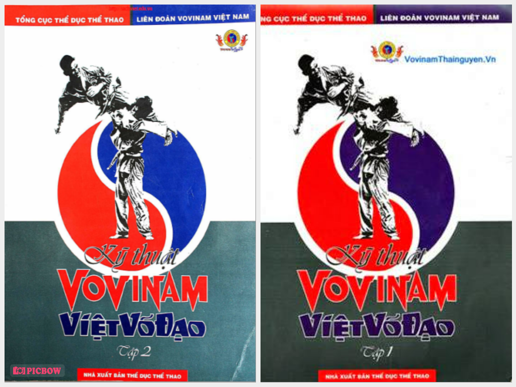 Sách kỹ thuật vovinam việt võ đạo tập 1+2 – lê quốc ân