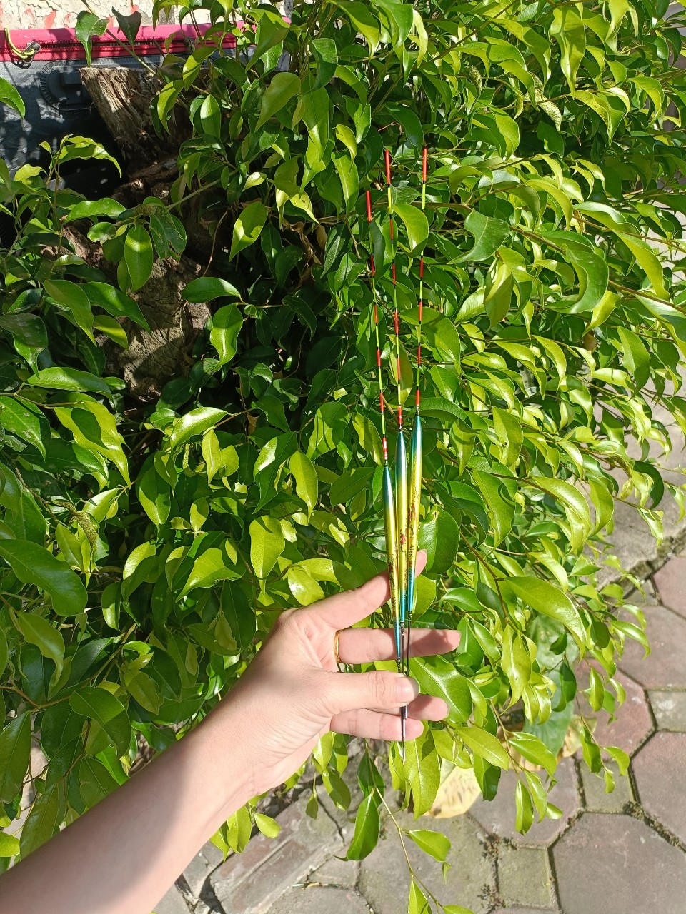 Phao câu đài hoàng cầm chuyên Diếc ,Chép,Rô