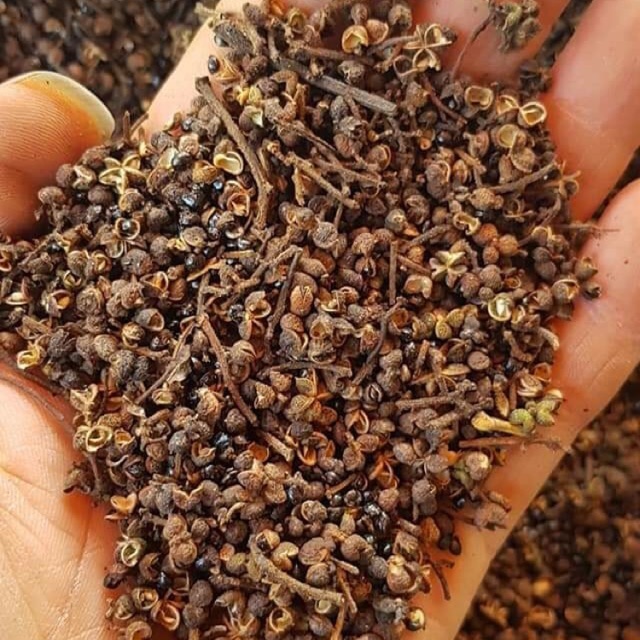 Mắc khén Tây Bắc (100gr) - Đặc Sản 27