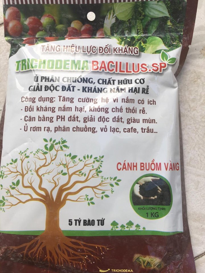 NẤM ĐỐI KHÁNG TRICHODEMA-BACILLUS.SP GÓI 1KG