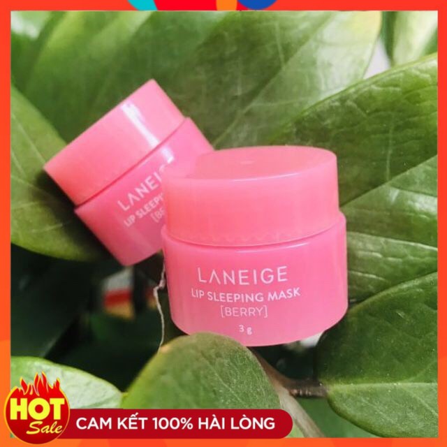 Son Dưỡng Laneige Có Màu giá rẻ Tháng 10,2023|BigGo Việt Nam