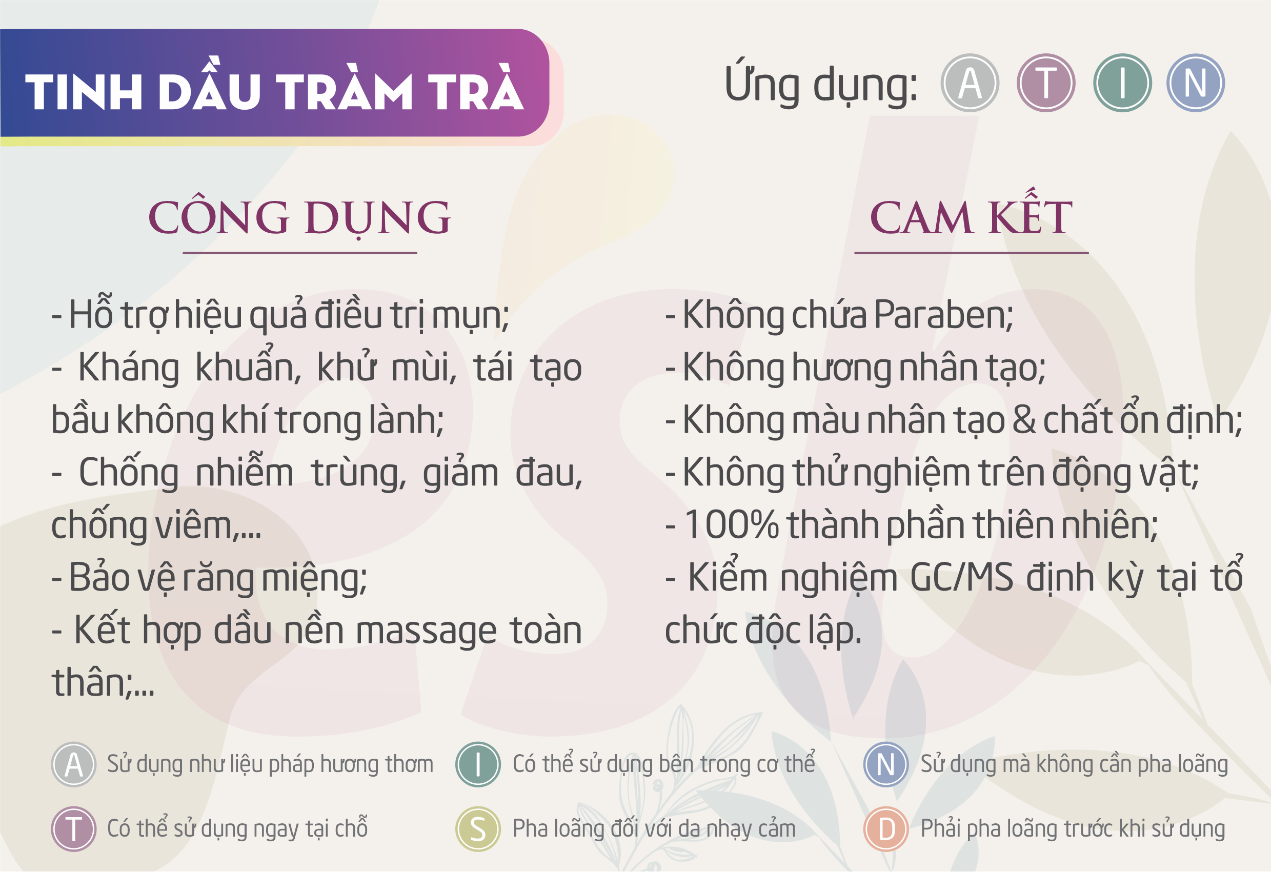 Tinh dầu Tràm Trà (Tea Tree) Essenbee - 10ml