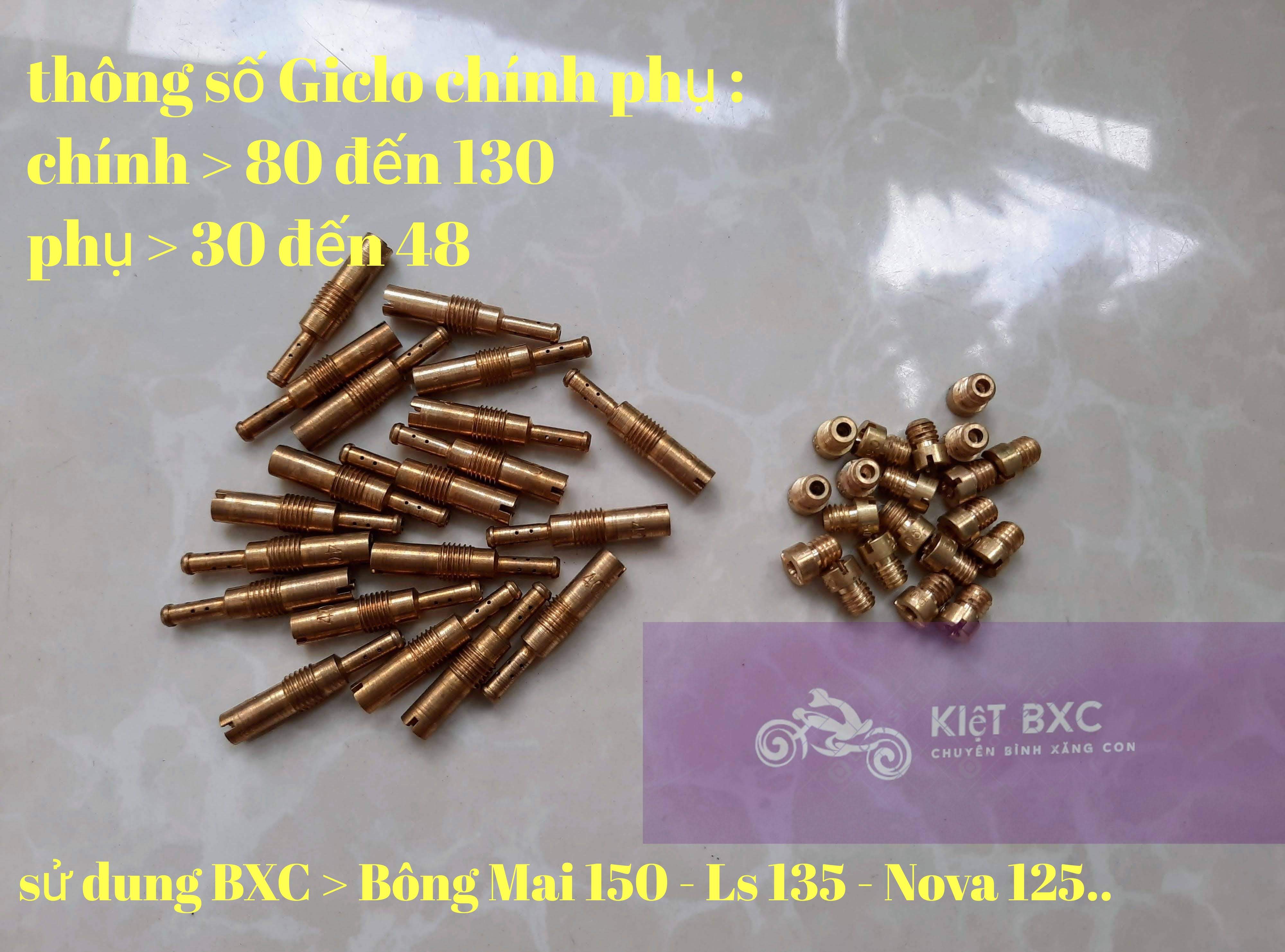 20 GICLO CHÍNH PHỤ BÔNG MAI/LS/NOVA