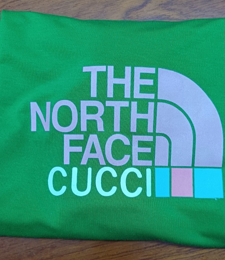 Áo thun cổ tròn in bet the north face t081