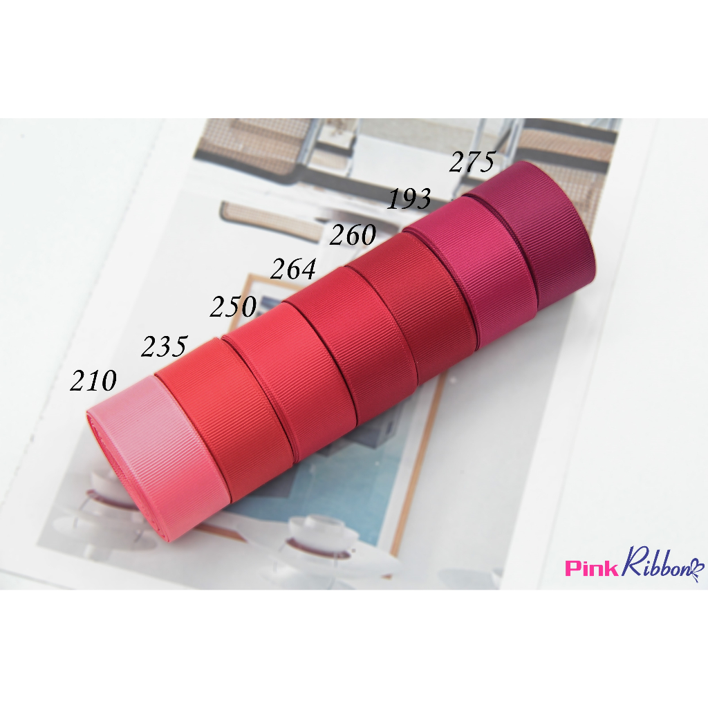 RUY BĂNG GÂN link 3/9 - CUỘN 5M