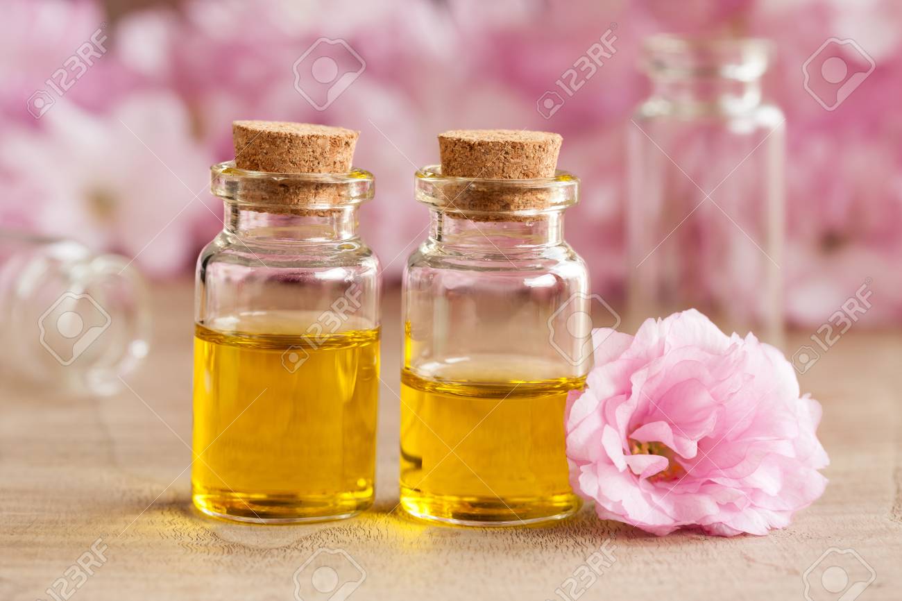 Tinh dầu hoa anh đào (Cherry Blossom)