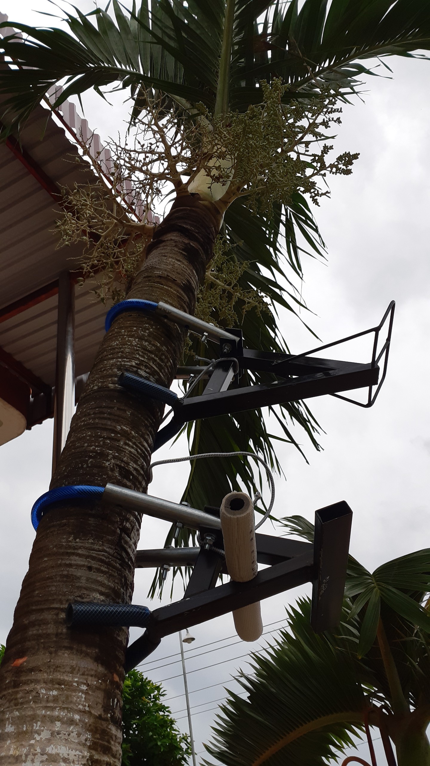 Climbing Tools