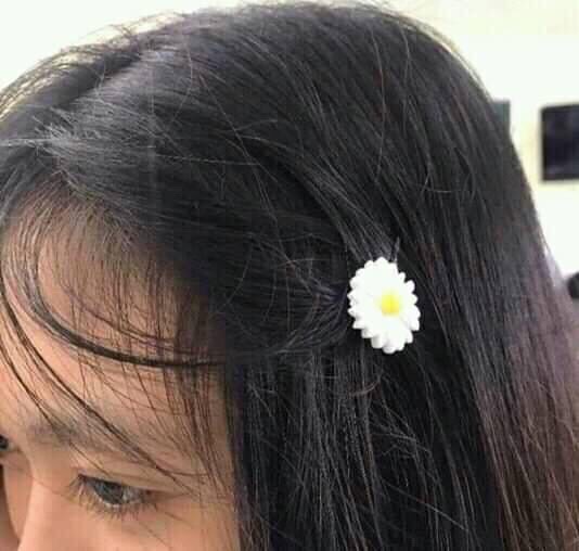 Combo 5 cặp tóc cúc họa mi