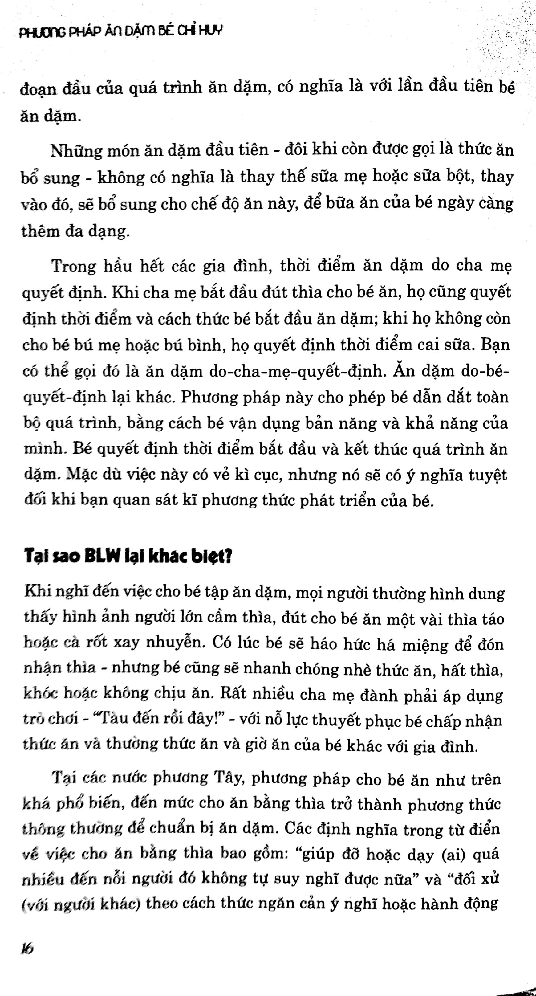Phương Pháp Ăn Dặm Bé Chỉ Huy